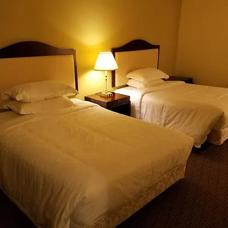 7 West Motel Carleton Place Room photo